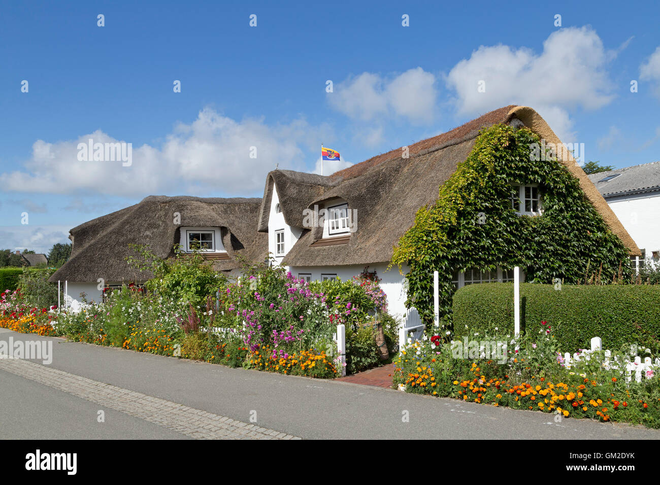 reetgedeckten Haus, Nebel, Insel Amrum, Nordfriesland, Schleswig-Holstein, Deutschland Stockfoto