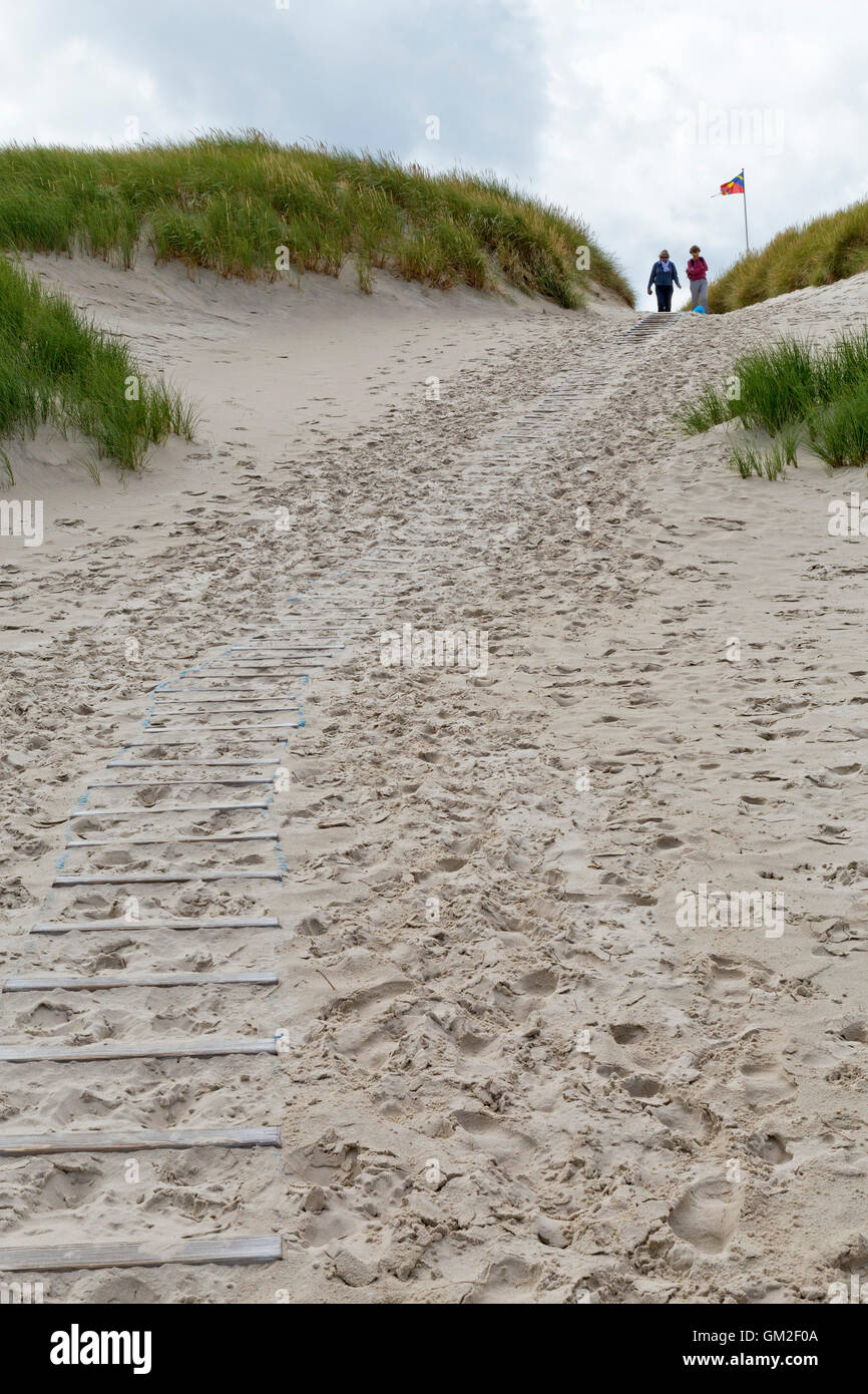 Weg gehen durch die Dünen, Kniepsands Strand, Insel Amrum, Nordfriesland, Schleswig-Holstein, Deutschland Stockfoto