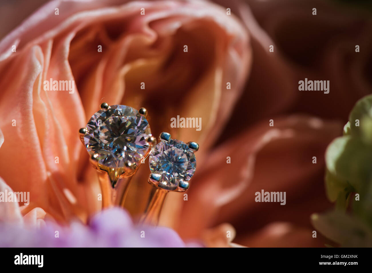 Gold Verlobungsringe in einem Blumenstrauß aus Rosen Stockfoto
