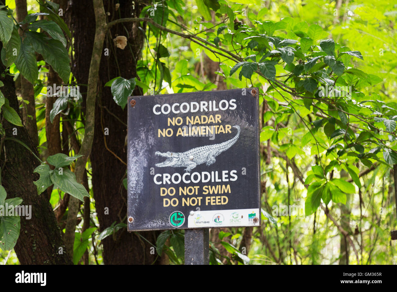 Hüten Sie sich vor Krokodilen Gefahr Zeichen, Costa Rica, Mittelamerika Stockfoto