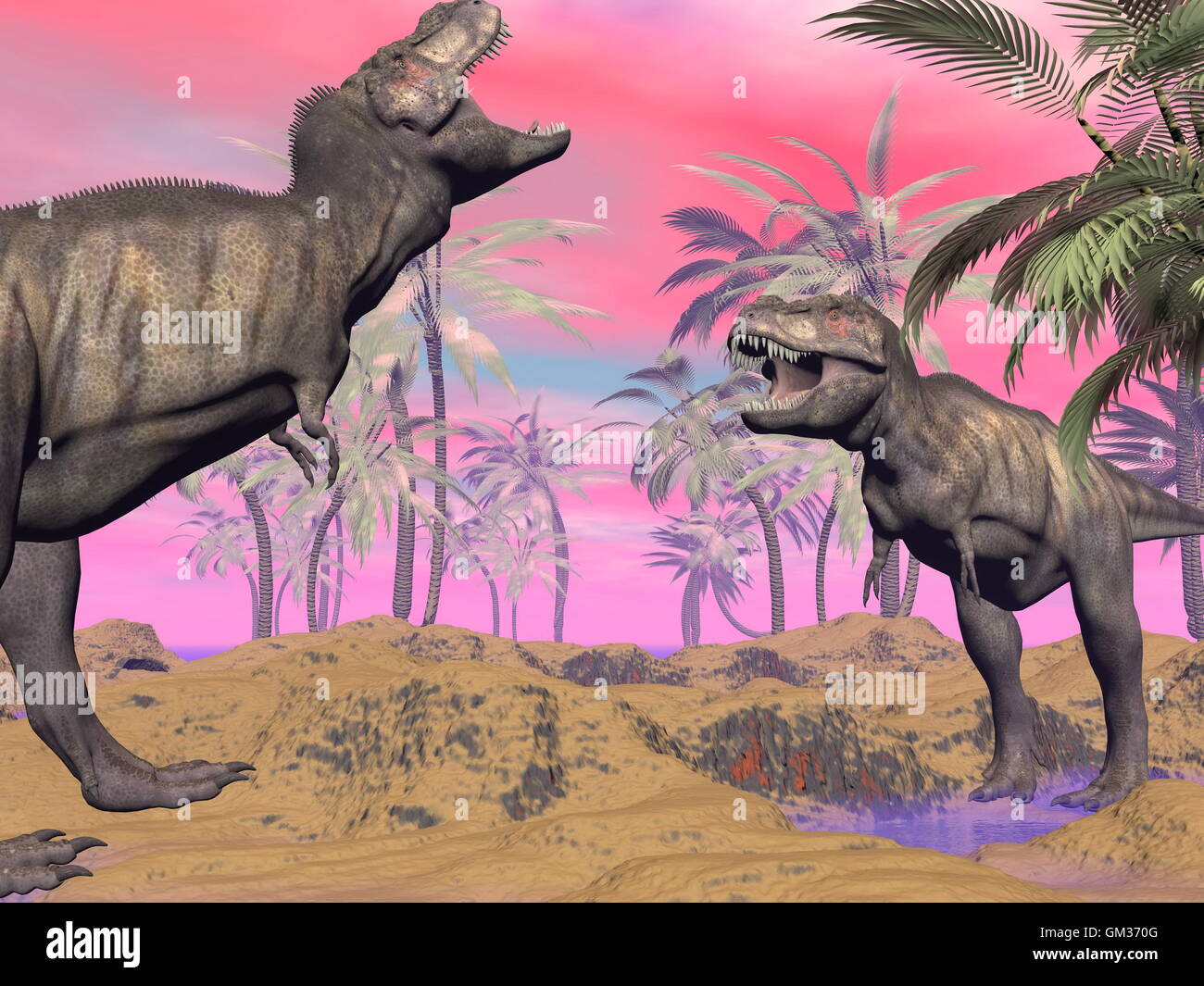 Tyrannosaurus argumentieren - 3D render Stockfoto