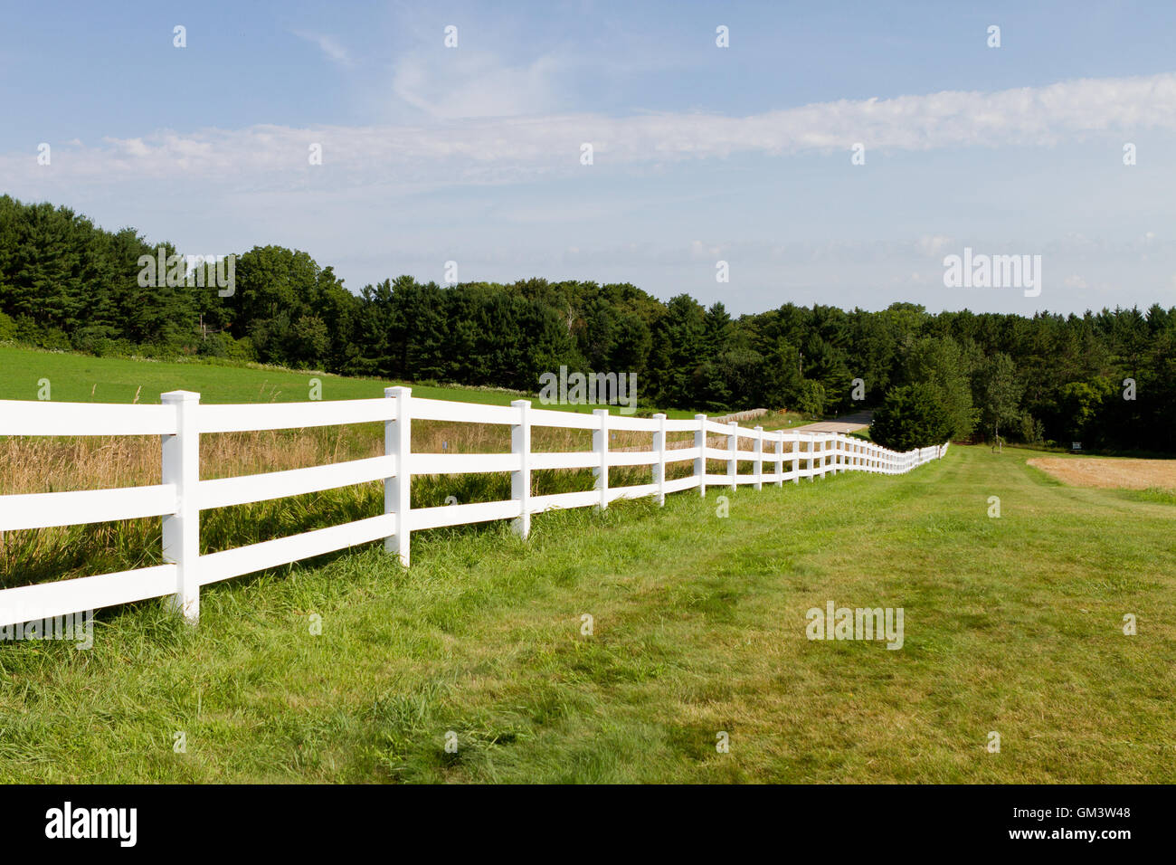 Weißer Zaun entlang Feld und Straße mit Flora und Fauna Stockfoto