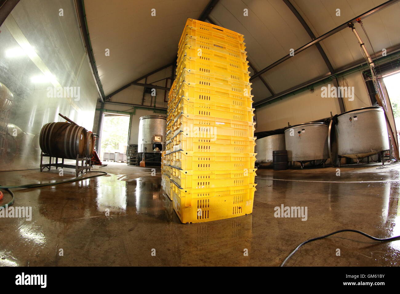 Kisten stapeln sich auf dem Weingut von Neudorf Weinberge, Nelson, Neuseeland Stockfoto