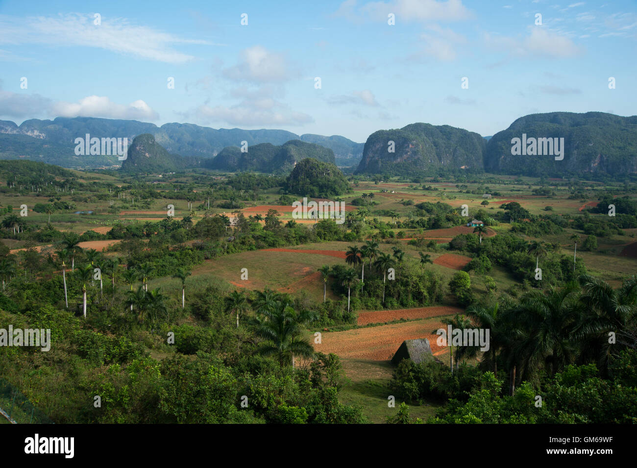 Einem strohgedeckten Tabak Trocknung Haus im Valle de Viñales auf Kuba mit Dschungel bedeckt Mogotes im Hintergrund Stockfoto