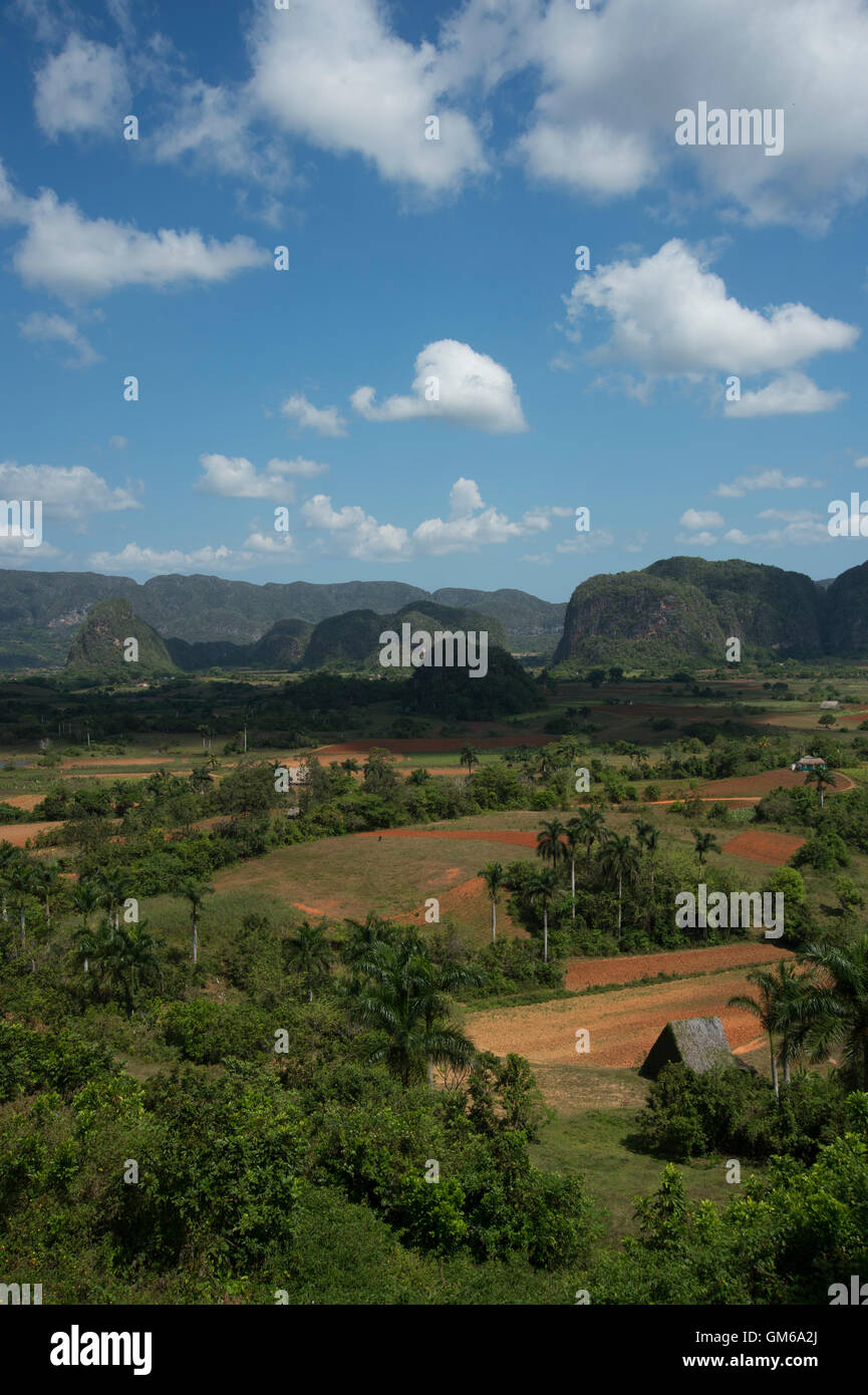 Einem strohgedeckten Tabak Trocknung Haus im Valle de Viñales auf Kuba mit Dschungel bedeckt Mogotes im Hintergrund Stockfoto