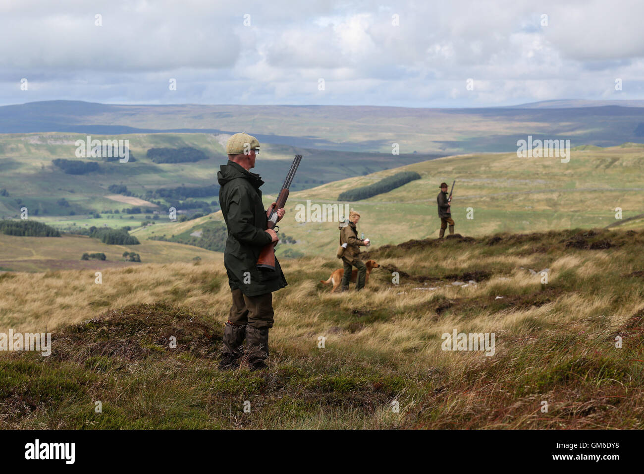 Männer bereit, ihre flinten während einer Moorhuhn schießen in hoch auf der Yorkshire Moors in swinithwaite, North Yorkshire. Stockfoto