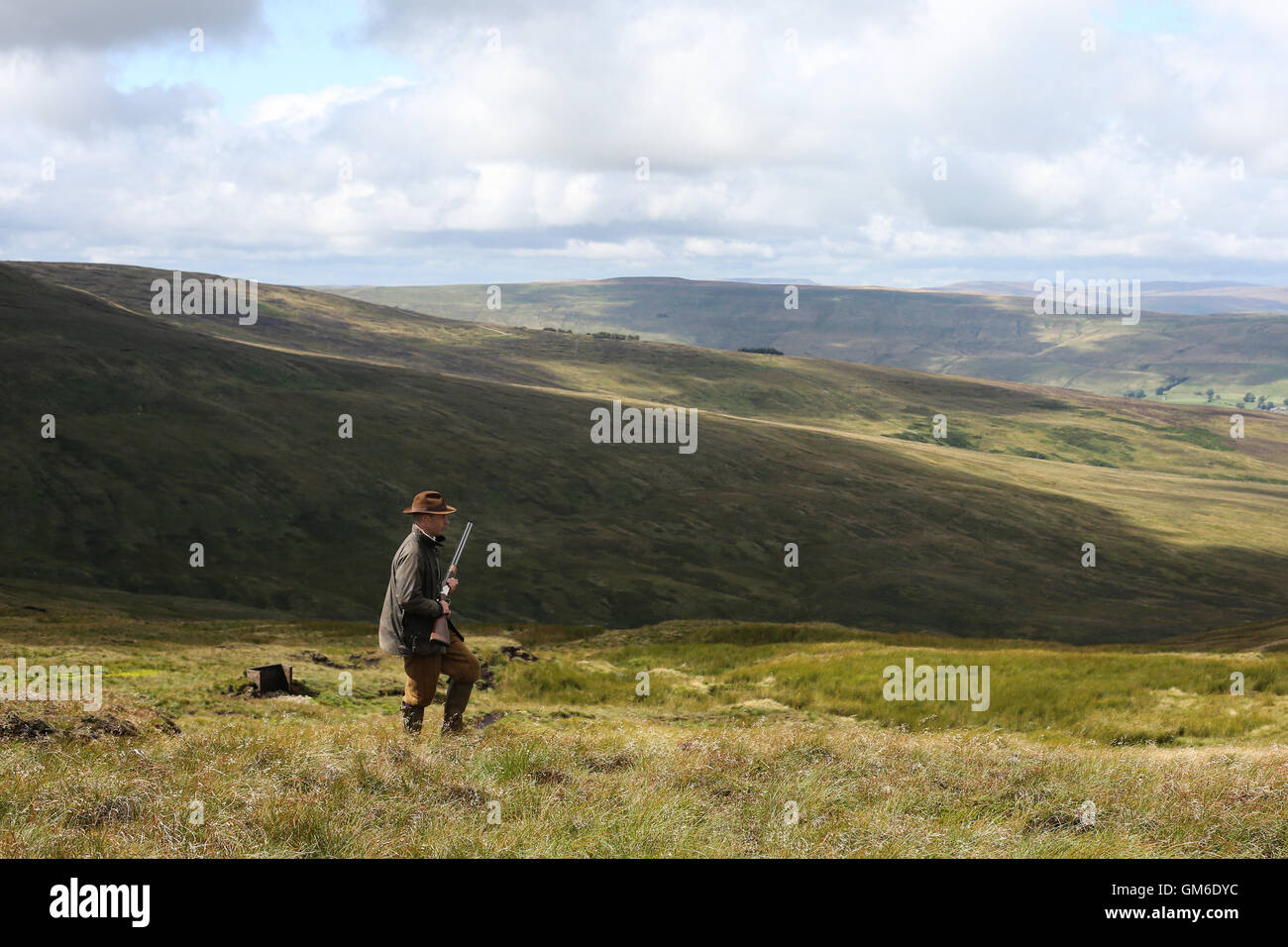 Ein Mann geht mit seiner Schrotflinte während einer Moorhuhn schießen in hoch auf der Yorkshire Moors in swinithwaite, North Yorkshire. Stockfoto