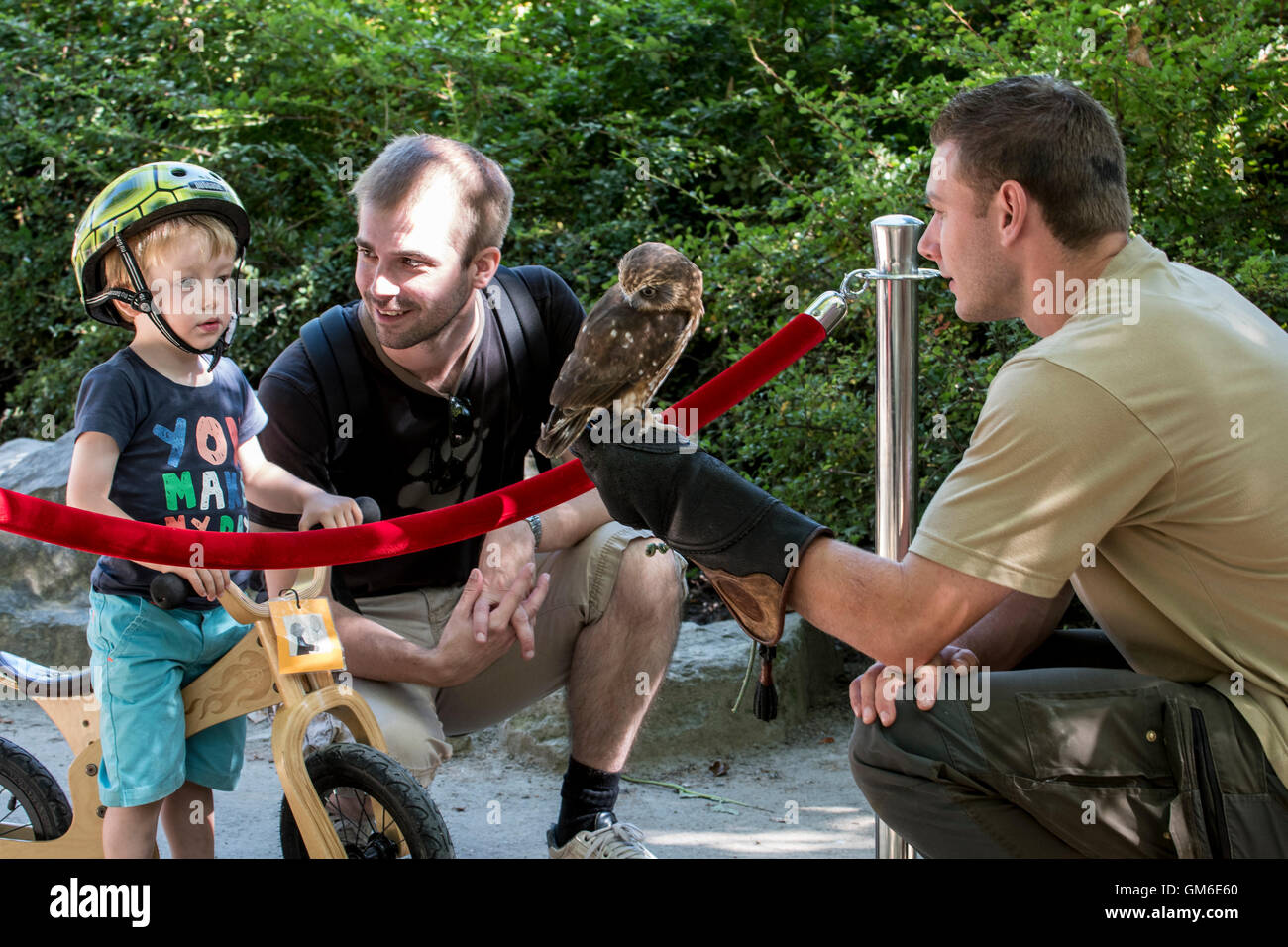 Tierpfleger zeigt Eule fasziniert Kind in Planckendael Zoo, Belgien Stockfoto