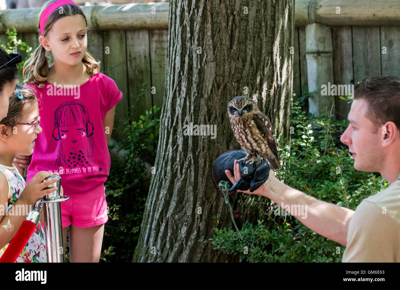 Tierpfleger zeigt Eule fasziniert Kinder im zoo Stockfoto