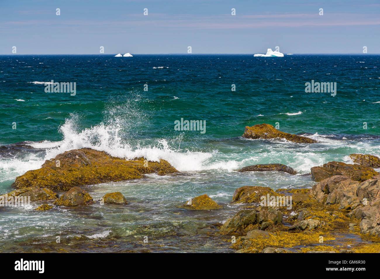 Die zerklüftete Küste von Cape Bonavista Bonavista, Neufundland und Labrador, Kanada. Stockfoto