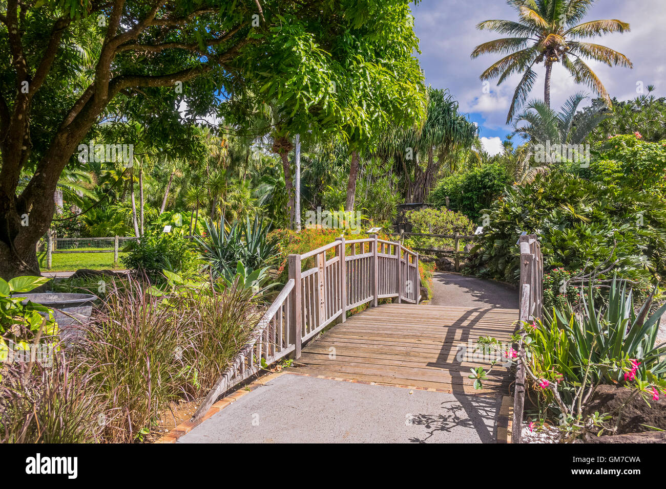 Brücke über Wasserlauf Balata botanische Gärten Guadeloupe Antillen Stockfoto