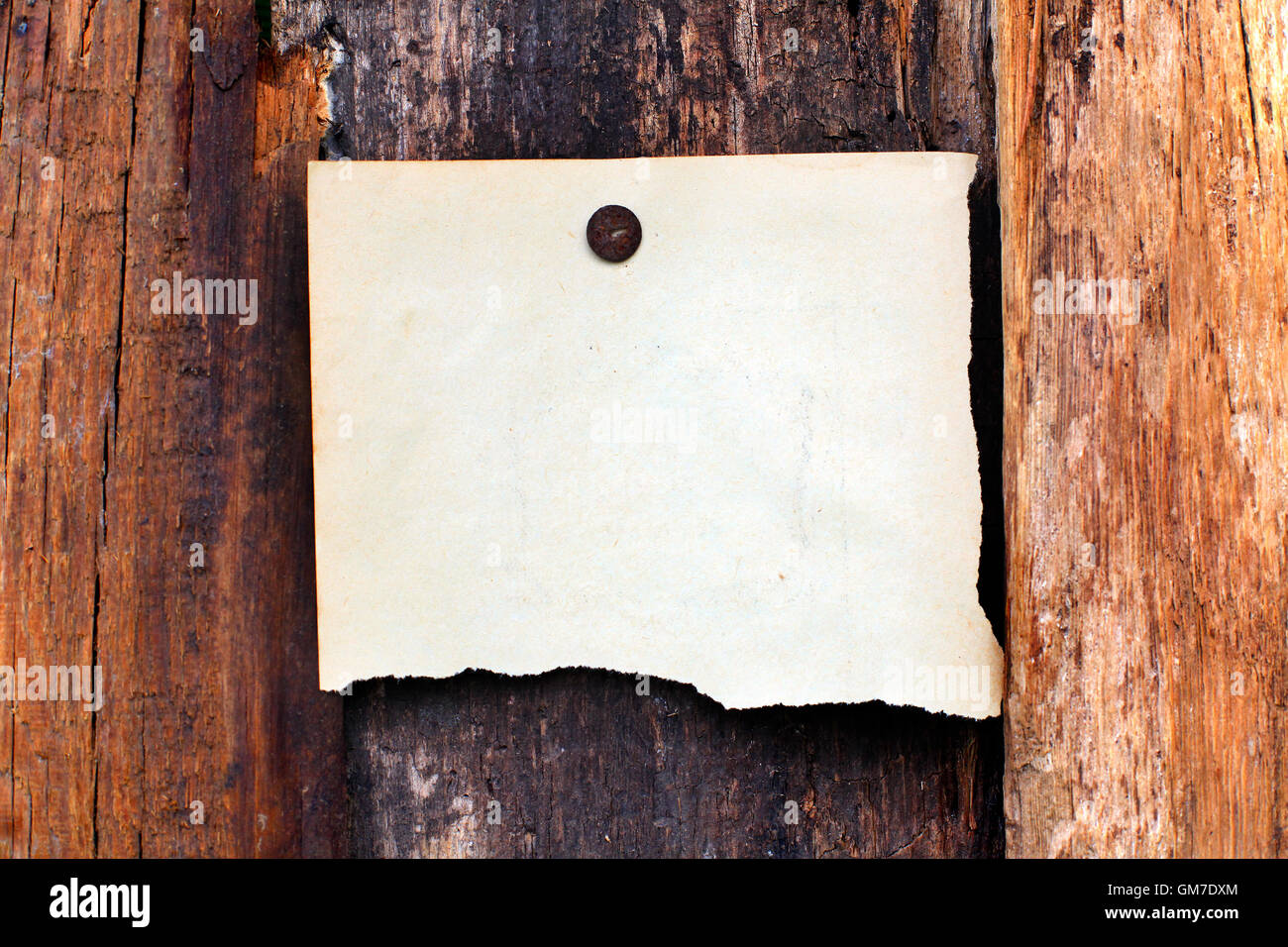 weißes Papier auf Holz Hintergrund Stockfoto