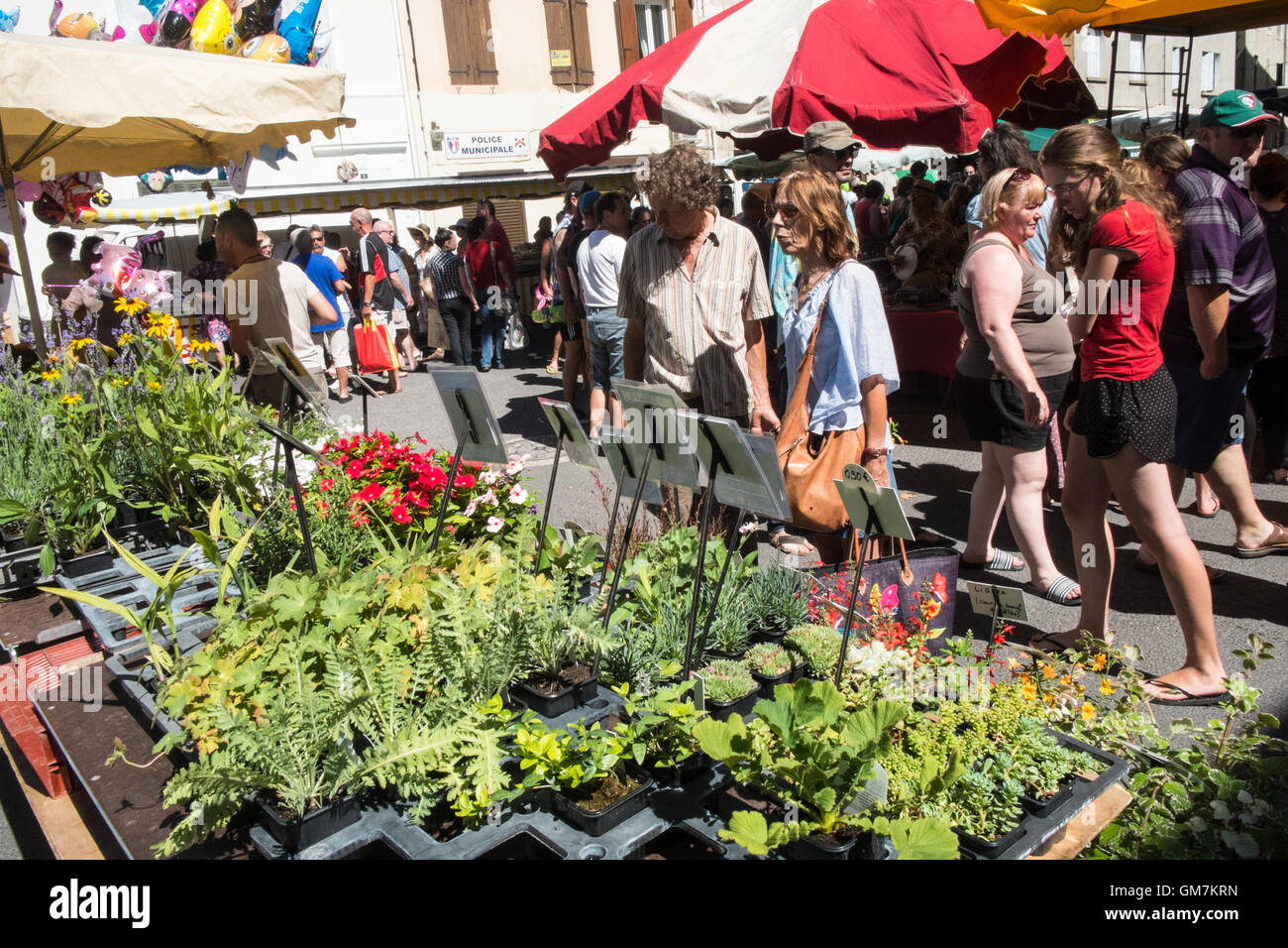 In Esperaza Sonntag Markt, Aude, Südfrankreich. Beliebte Nahrung und Kleidung Wochenmarkt mit viel frischer Lebensmittel vor Ort produziert. Stockfoto