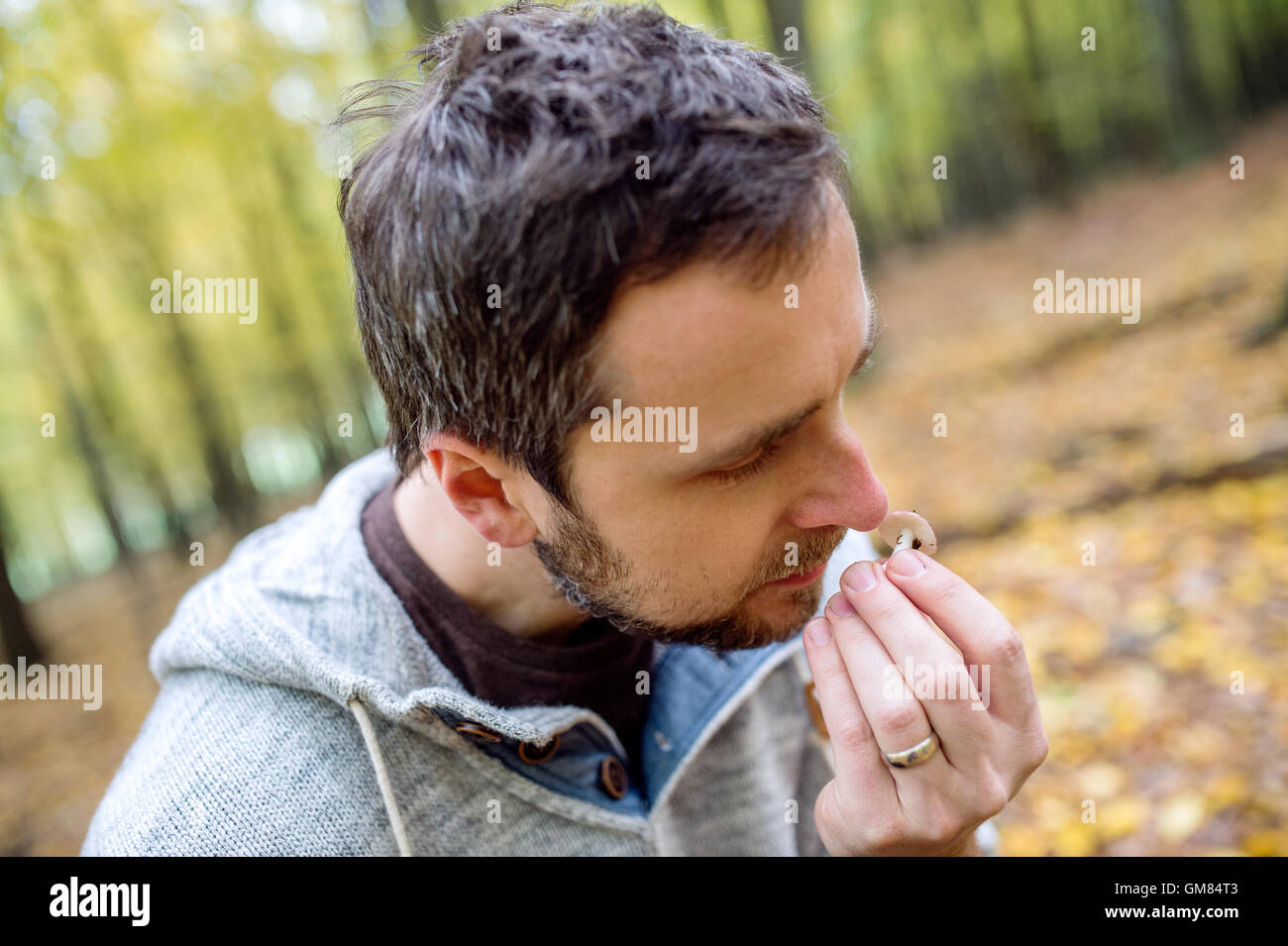 Hipster-Mann im Wald Pilze, riechen Stockfoto