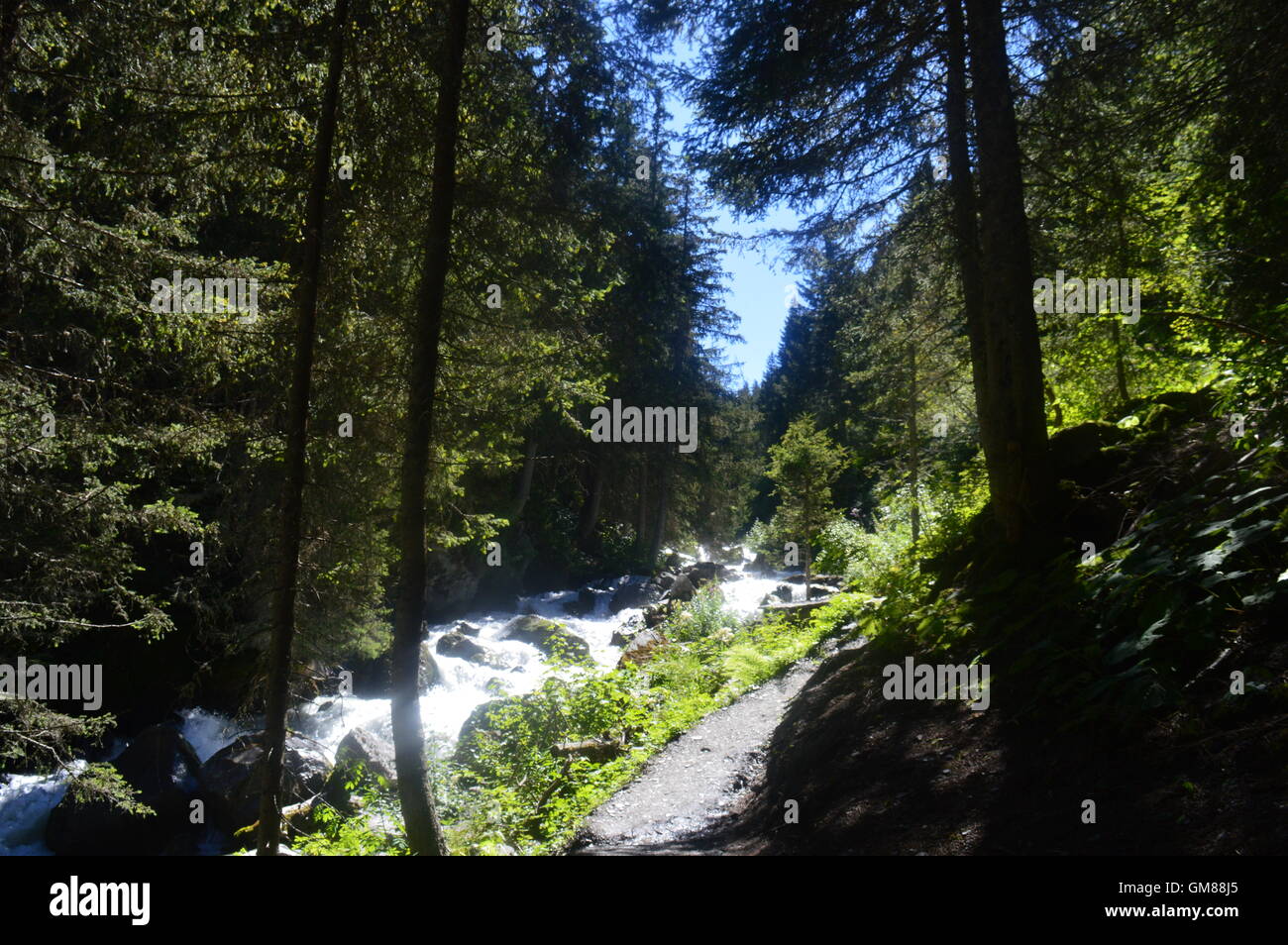 Ein alpines Wildwasser Bergfluss bis Méribel Mottaret in den französischen Alpen, im Sommer Stockfoto