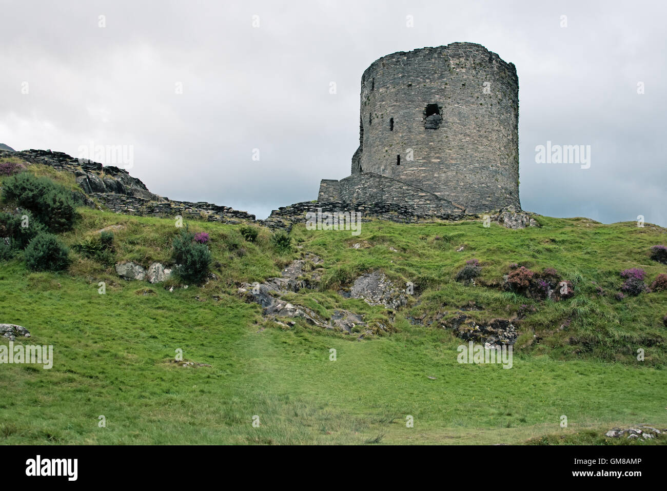 Dolbadarn Burg vom walisischen Fürsten Llywelyn das große an der Basis des Llanberis Pass zum Snowdon, in Nord-Wales. Stockfoto
