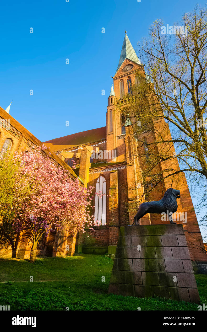 Braunschweig-Löwen am Schweriner Dom, Mecklenburg-Vorpommern, Deutschland Stockfoto