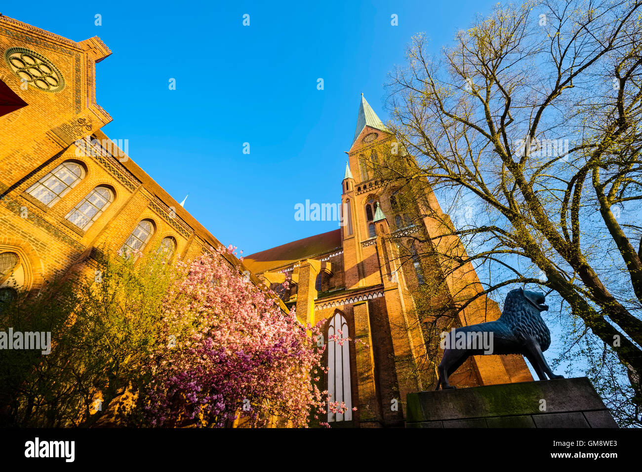 Braunschweig-Löwen am Schweriner Dom, Mecklenburg-Vorpommern, Deutschland Stockfoto