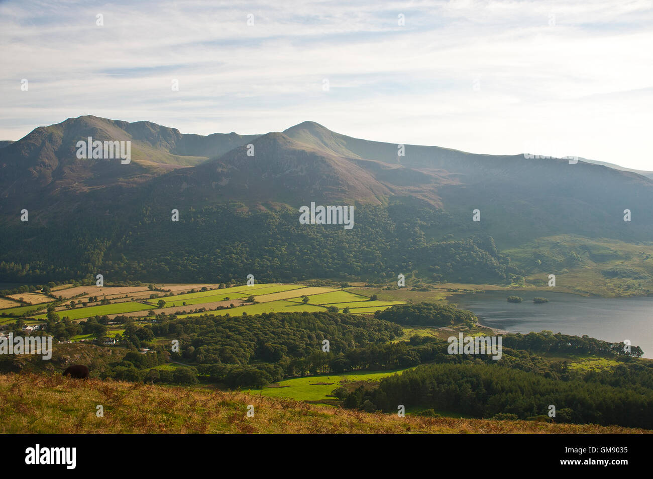 Blick von Osten über Buttermere im Lake District, cumbria Stockfoto