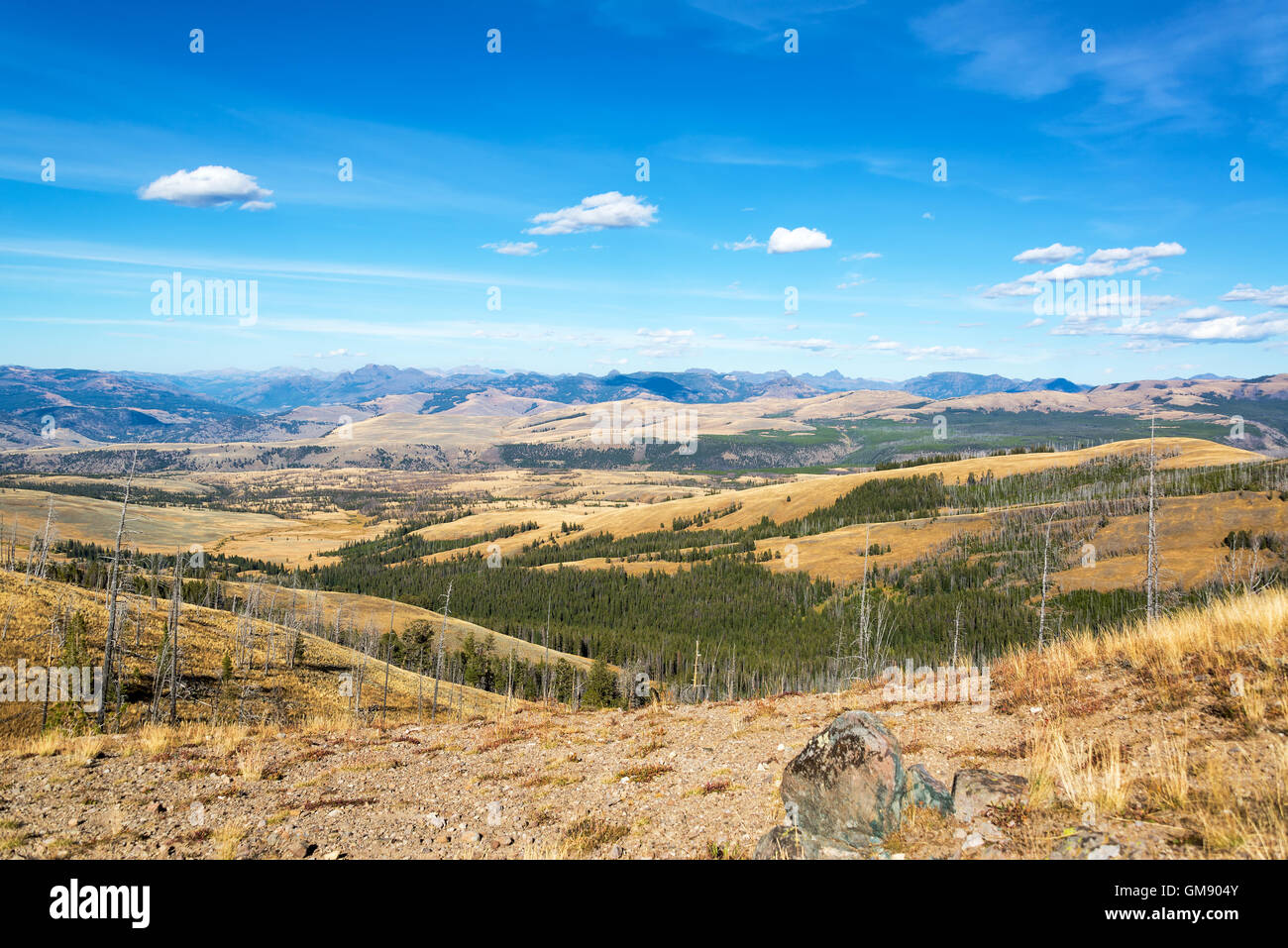 Landschaft im Yellowstone National Park in der Nähe von Mount Washburn gesehen Stockfoto
