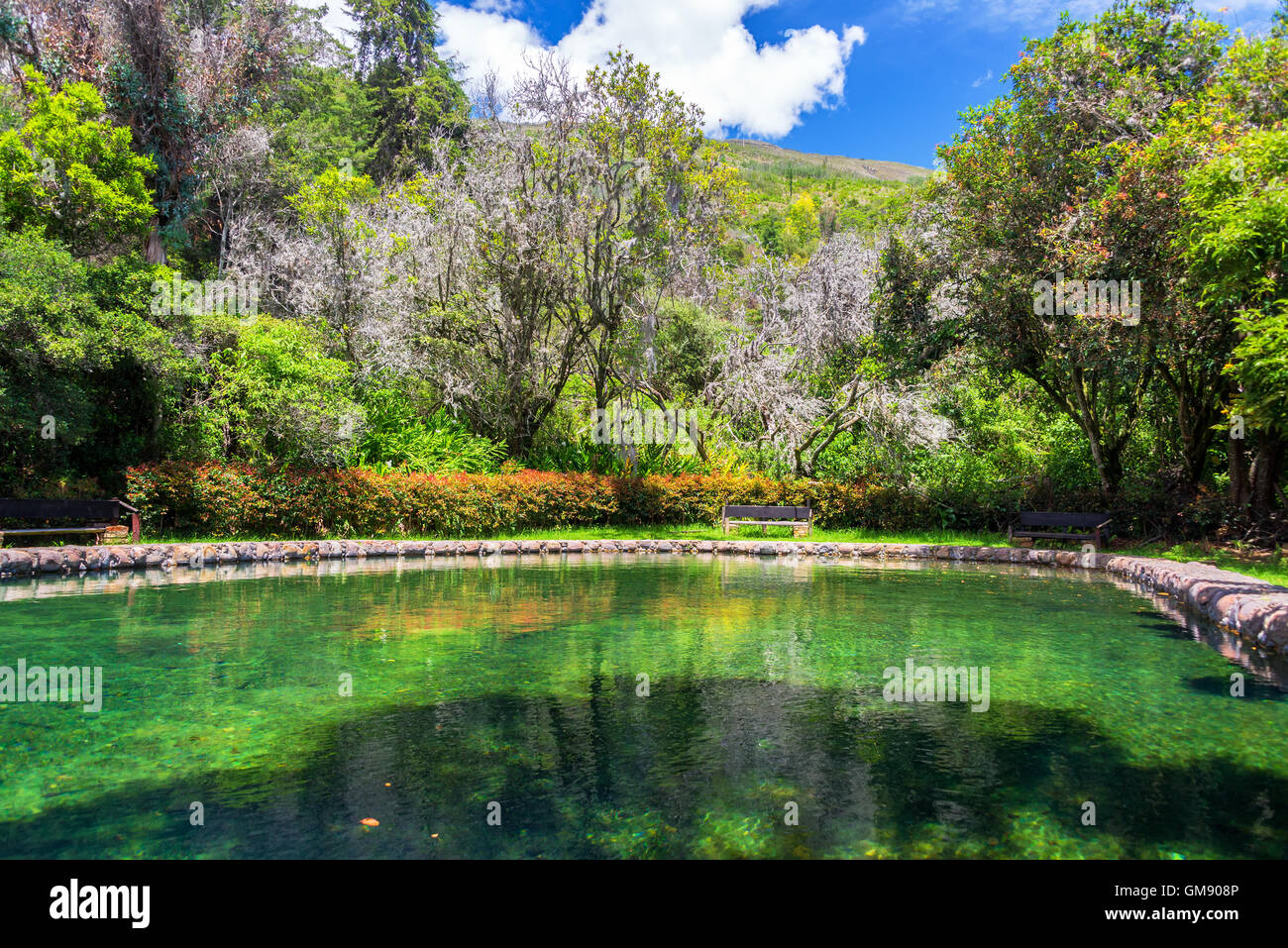Grünes Mineral-Pool in Villa de Leyva, Kolumbien Stockfoto