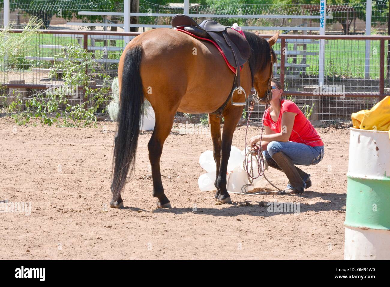 Ein Pferd bekommt einen Kuss von ihrem Besitzer nach nähert sich ein beängstigend Hindernis Milchkannen Stockfoto