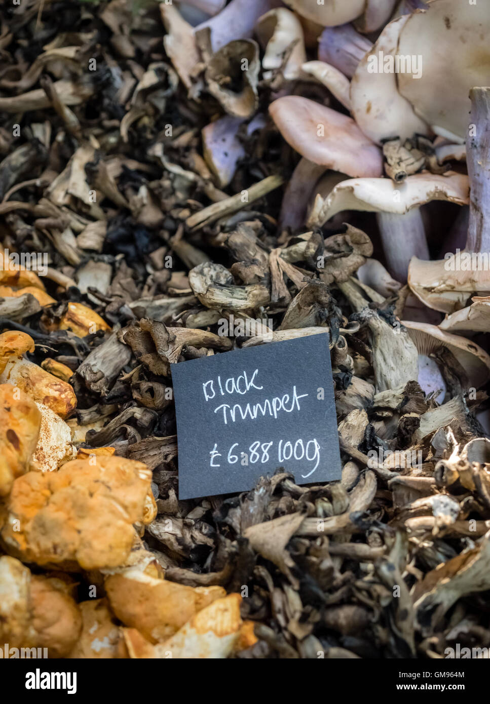 Frische Schwarze Trompete Pilze auf Verkauf in den Landwirten Borough Market in London, England, Vereinigtes Königreich Stockfoto