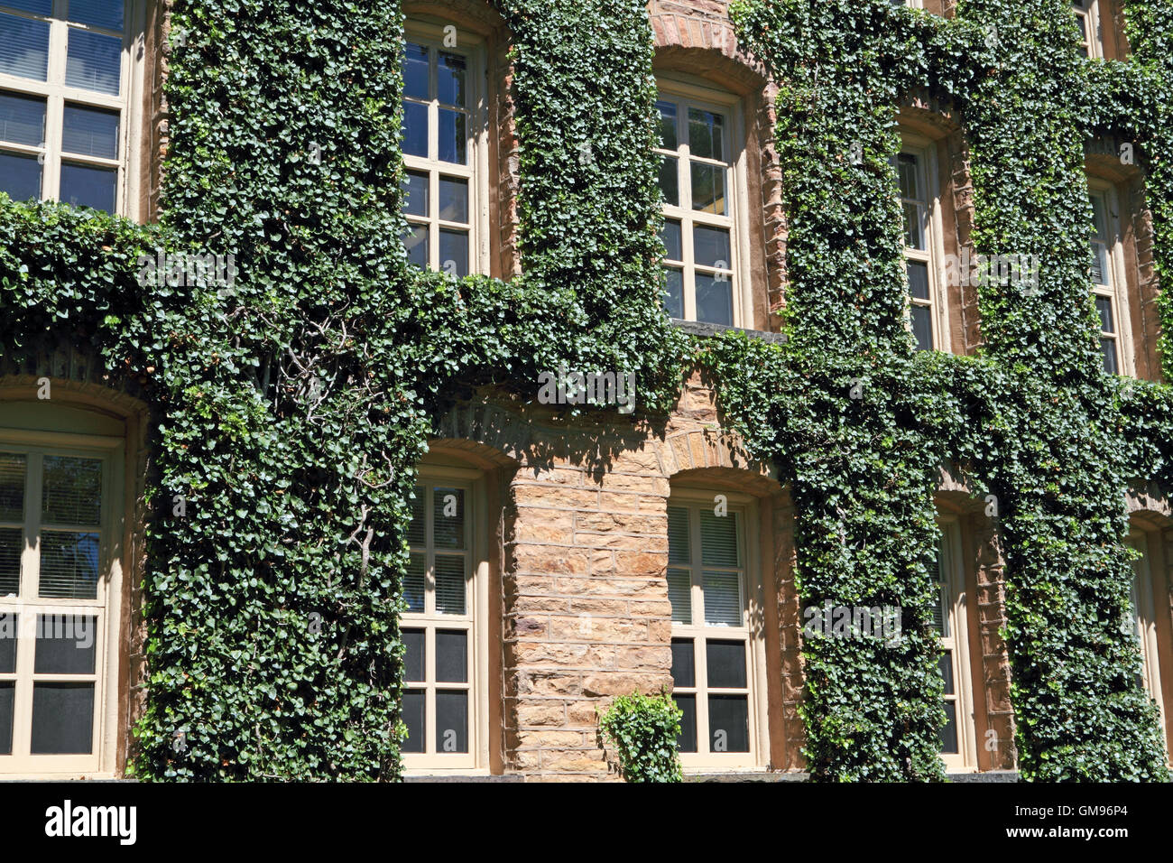 Efeu bedeckt Wände von Nassau Hall, Princeton University, Princeton, New Jersey, USA Stockfoto Efeu bedeckt Wände von Nassau Hall, Princeton University, Princeton, New Jersey, USA Stockfoto