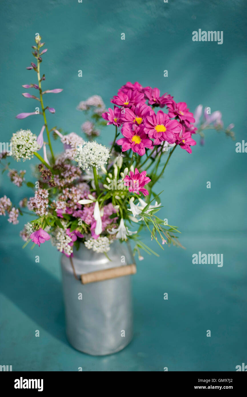 Reihe von Wildblumen in Milch kann Stockfoto