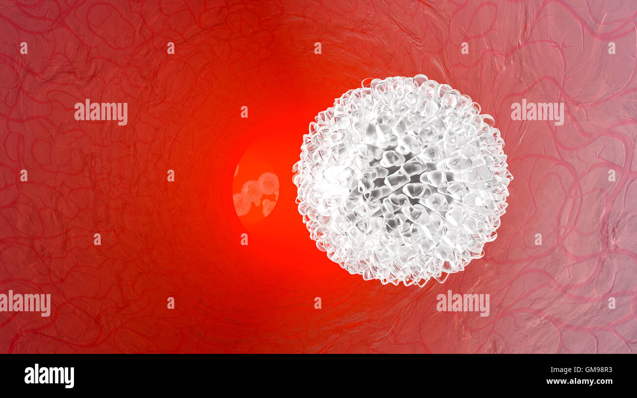 Leukozyten fließt in ein Blutgefäß, 3D Rendering Stockfoto