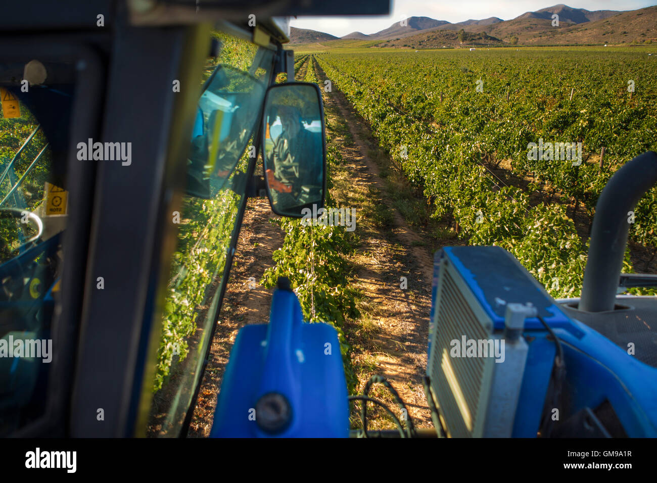 Weinlese-Maschine im Weinberg Stockfoto Weinlese-Maschine im Weinberg Stockfoto