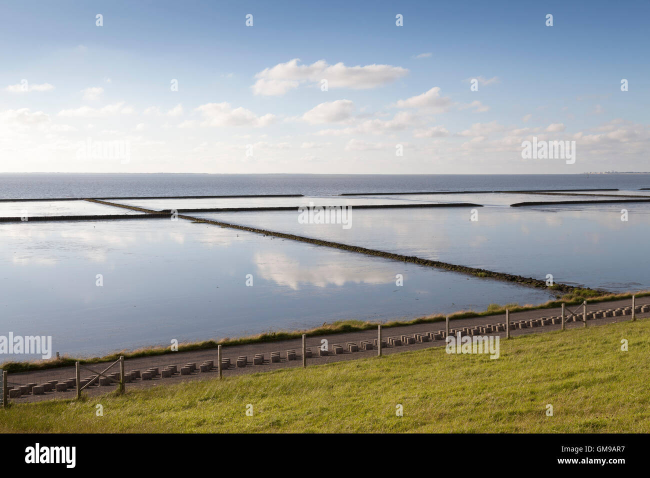 Deutschland, Ostfriesland, Norddeich, Lower Saxon Nationalpark Wattenmeer Stockfoto