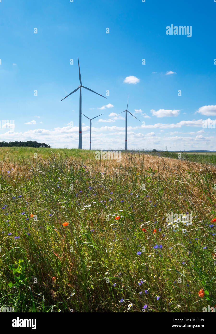 Deutschland, Mittelfranken, Windpark in der Nähe von Grosshabersdorf Stockfoto