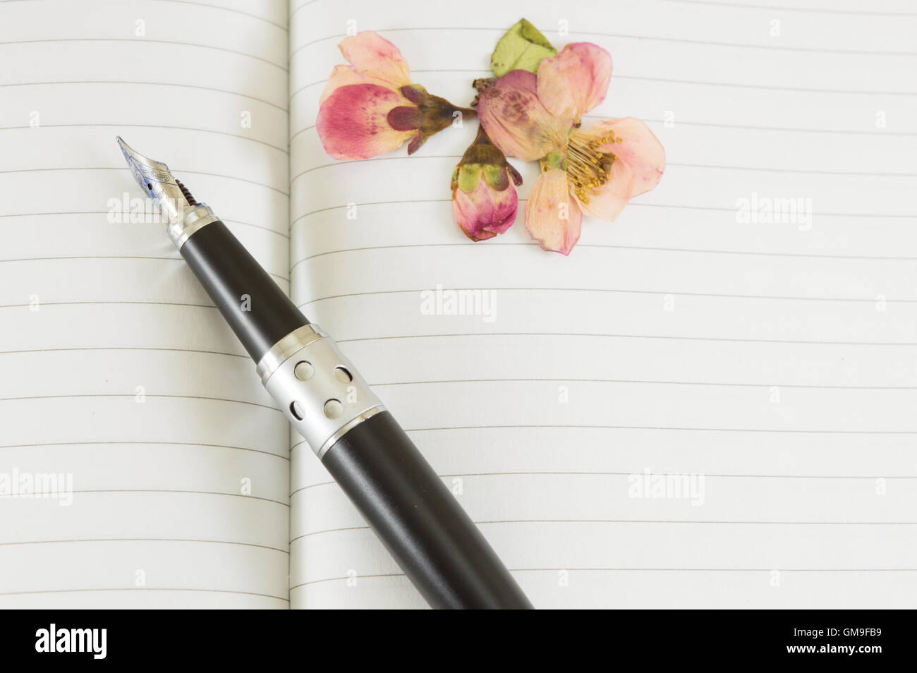 Füllfederhalter auf einem offenen Notebook mit Frühlingsblumen Stockfoto