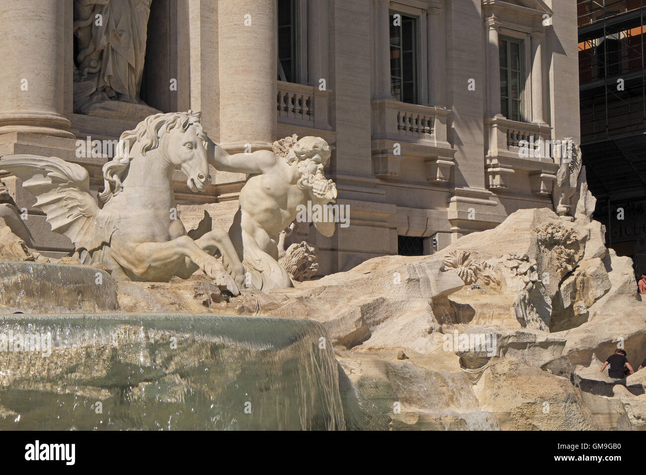 Seepferdchen und Triton, Fontana di Trevi (Trevi-Brunnen), Rom, Italien. Stockfoto