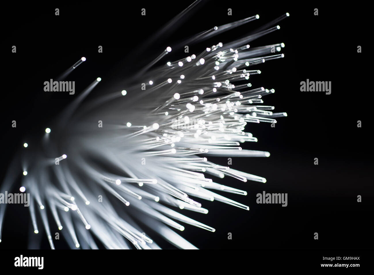 Reihe von leuchtenden Glasfaserkabeln auf schwarzem Hintergrund Stockfoto