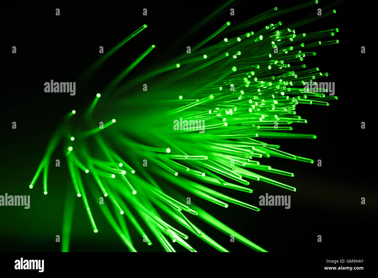 Reihe von leuchtenden grünen Glasfaserkabel auf schwarzem Hintergrund Stockfoto