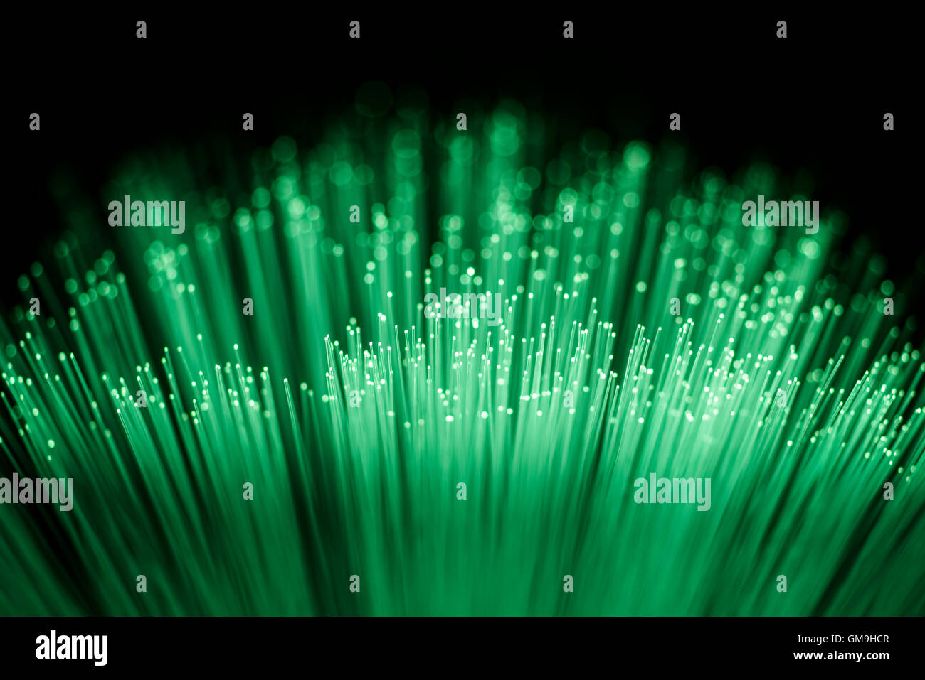 Reihe von leuchtenden grünen Glasfaserkabel auf schwarzem Hintergrund Stockfoto