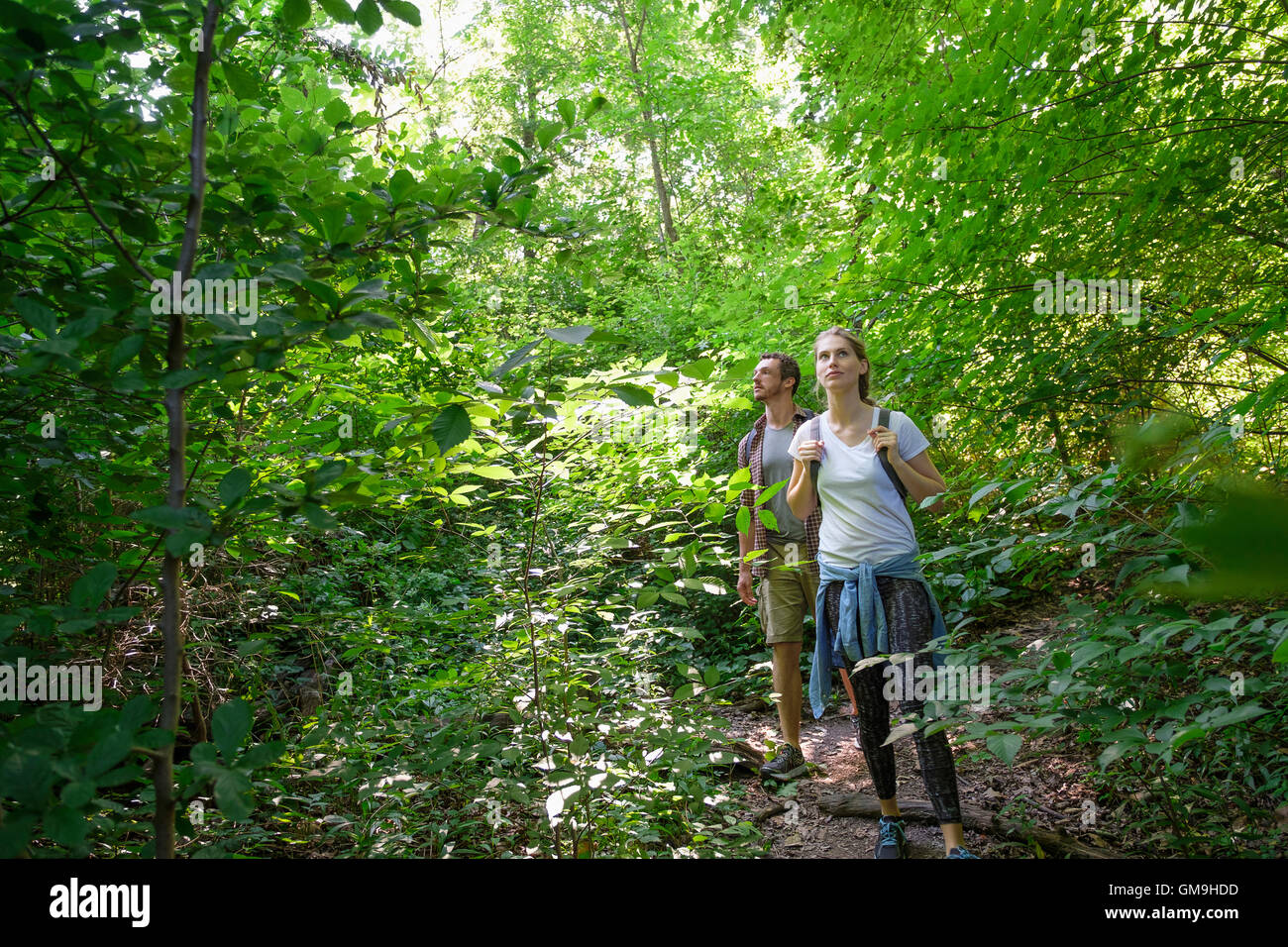 Paar im Wald stehen Stockfoto