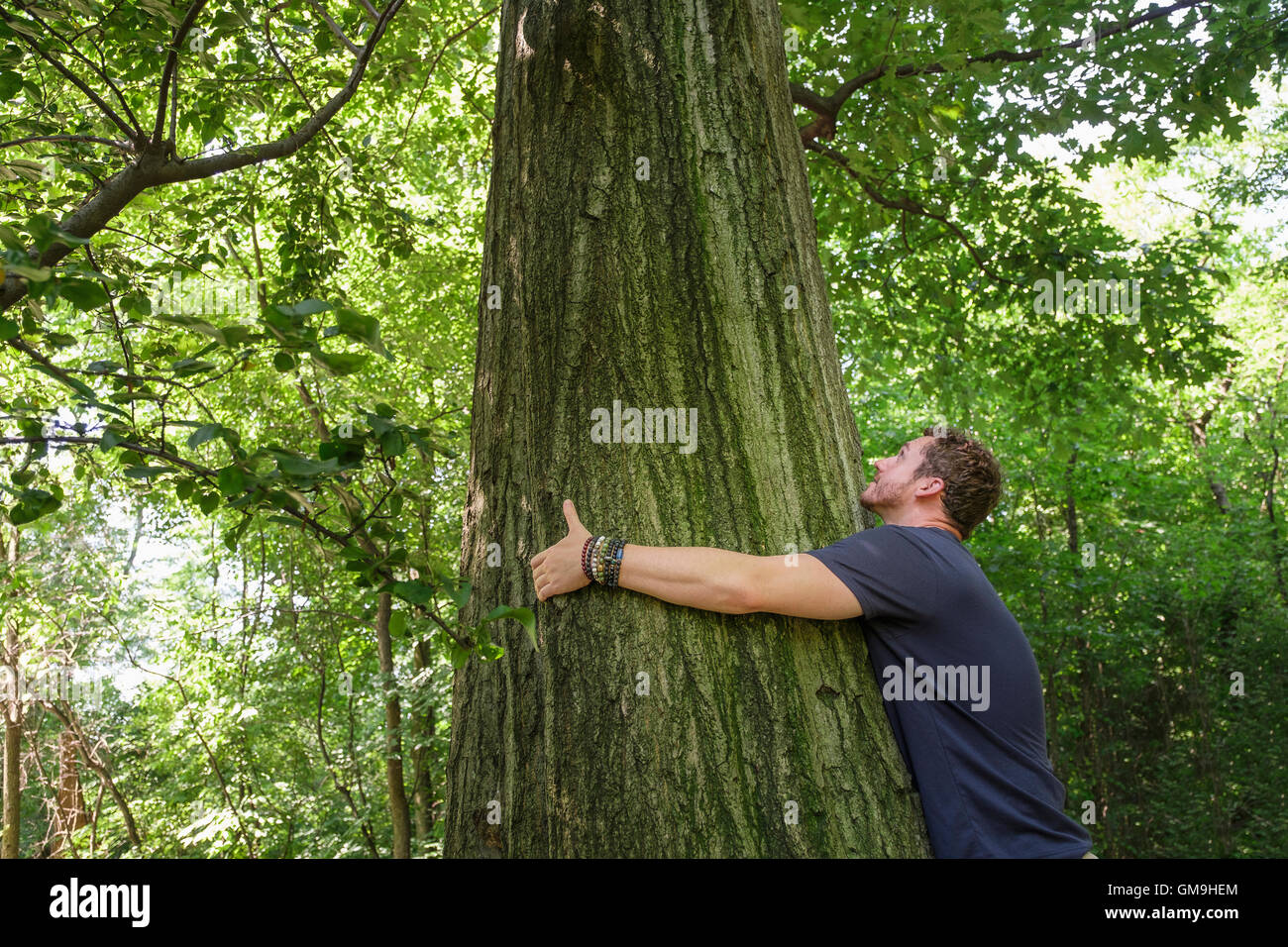 Mann umarmt Baum Stockfoto