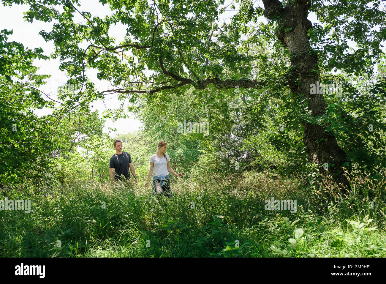 Paar im Wald wandern Stockfoto