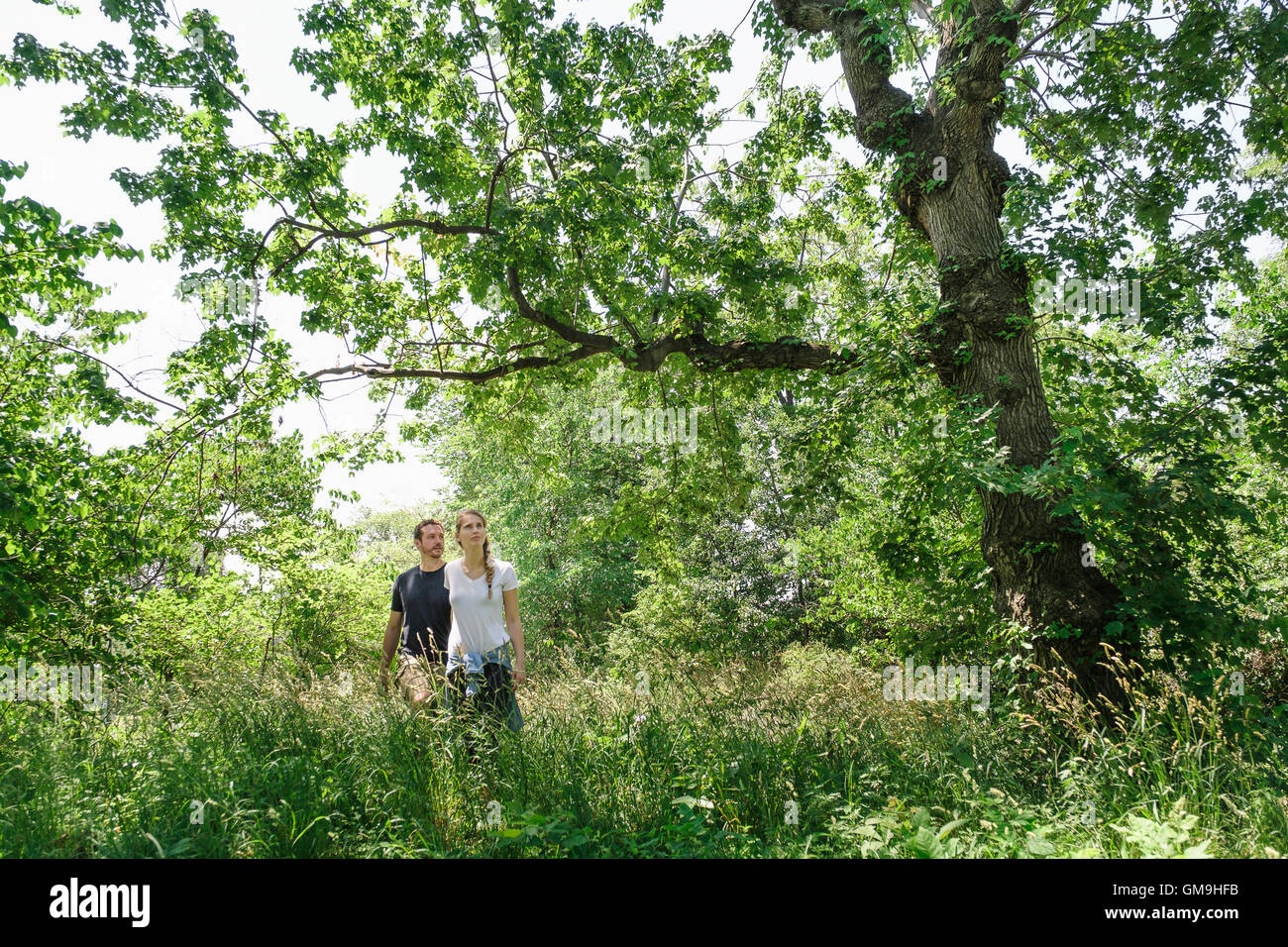 Paar im Wald wandern Stockfoto