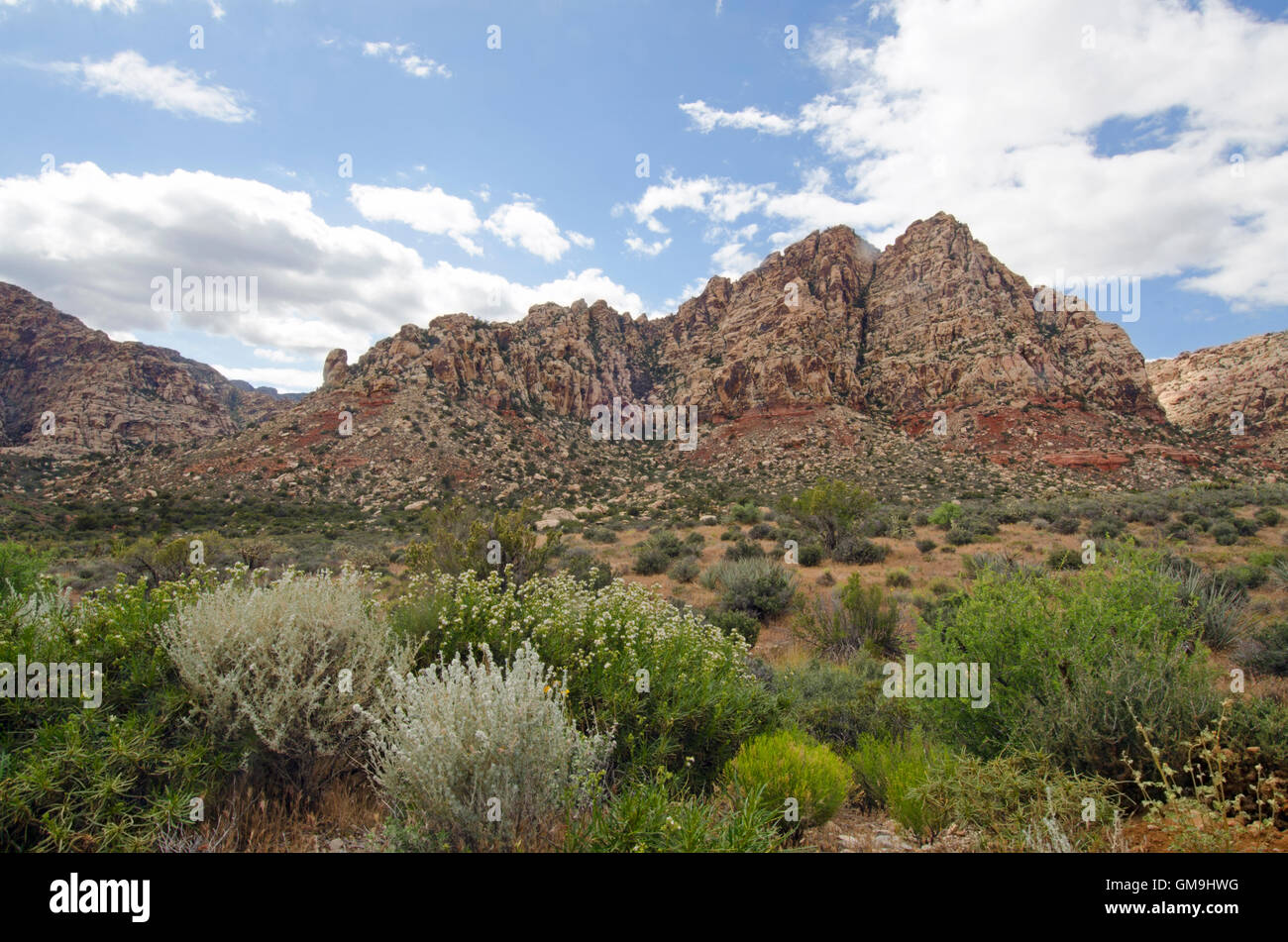 Nevada, Red Rock Canyon-Landschaft mit Felsen Bergen Stockfoto