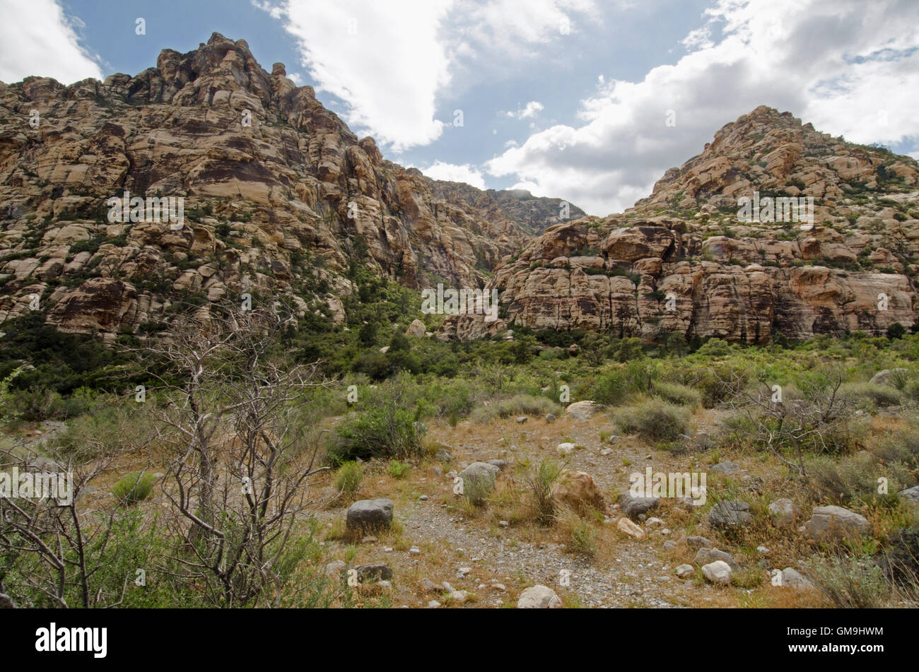 Nevada, Red Rock Canyon-Landschaft mit Felsen Bergen Stockfoto