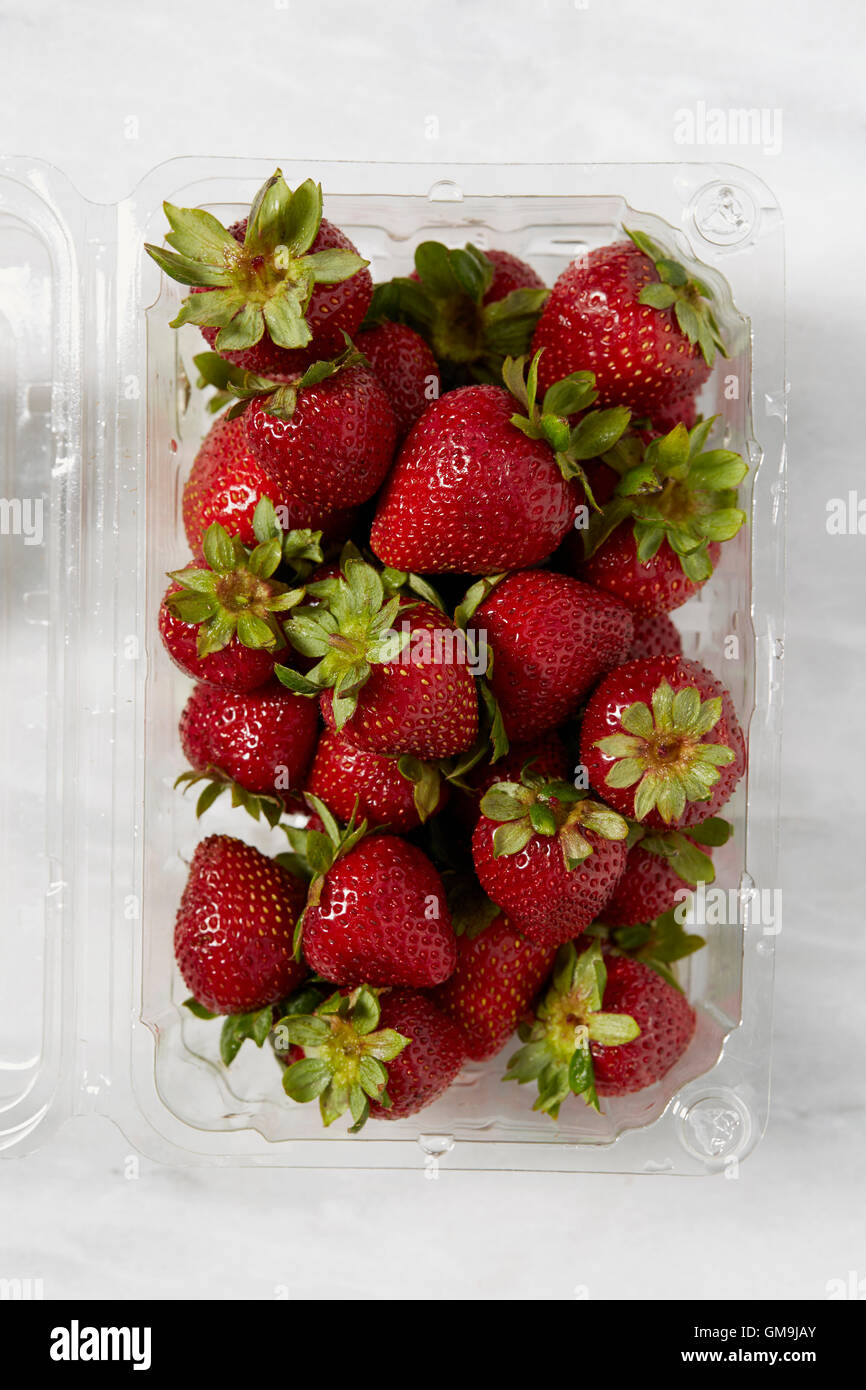 Draufsicht auf frischen Erdbeeren in Kunststoff-container Stockfoto