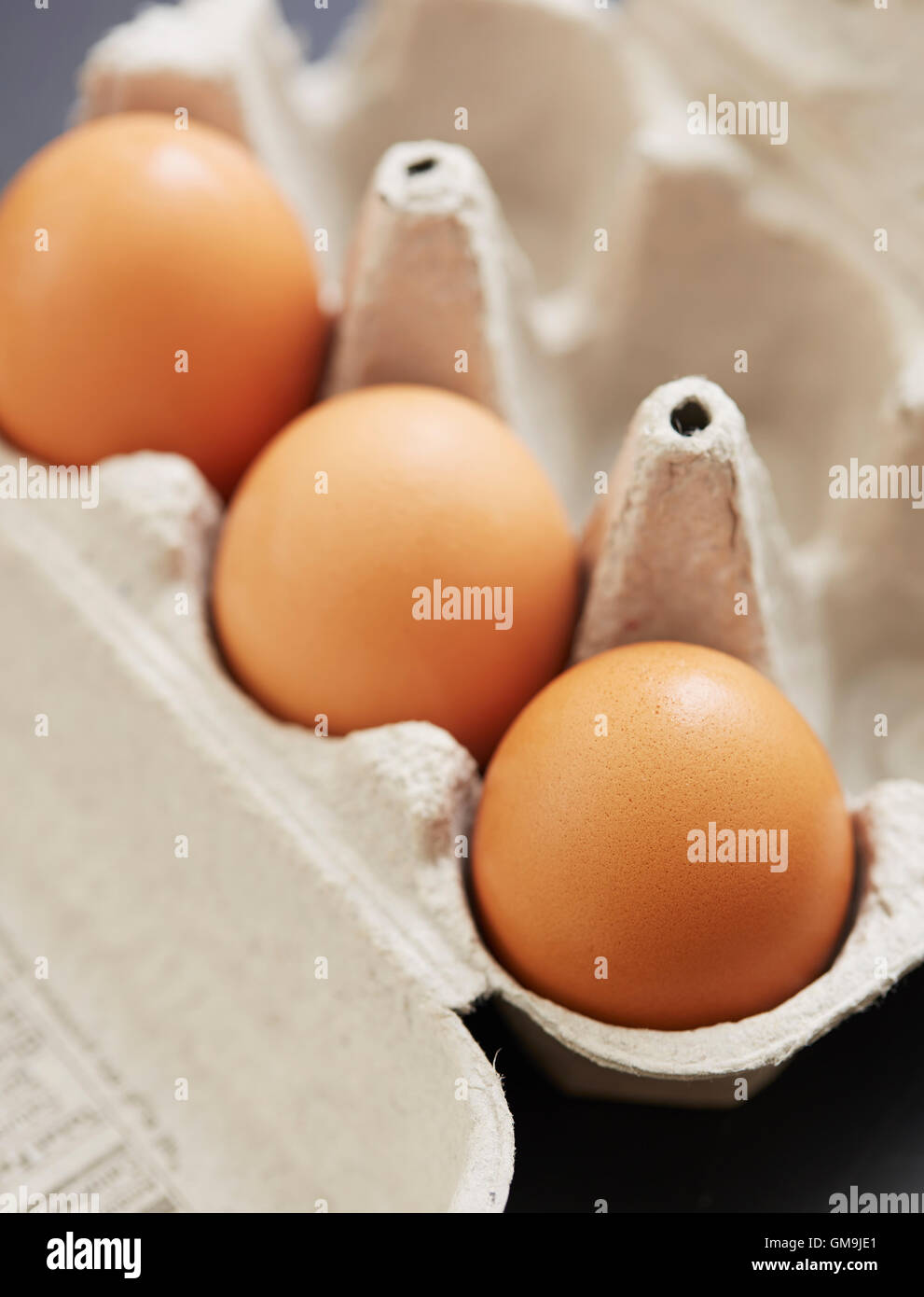 Eiern im Karton Stockfoto
