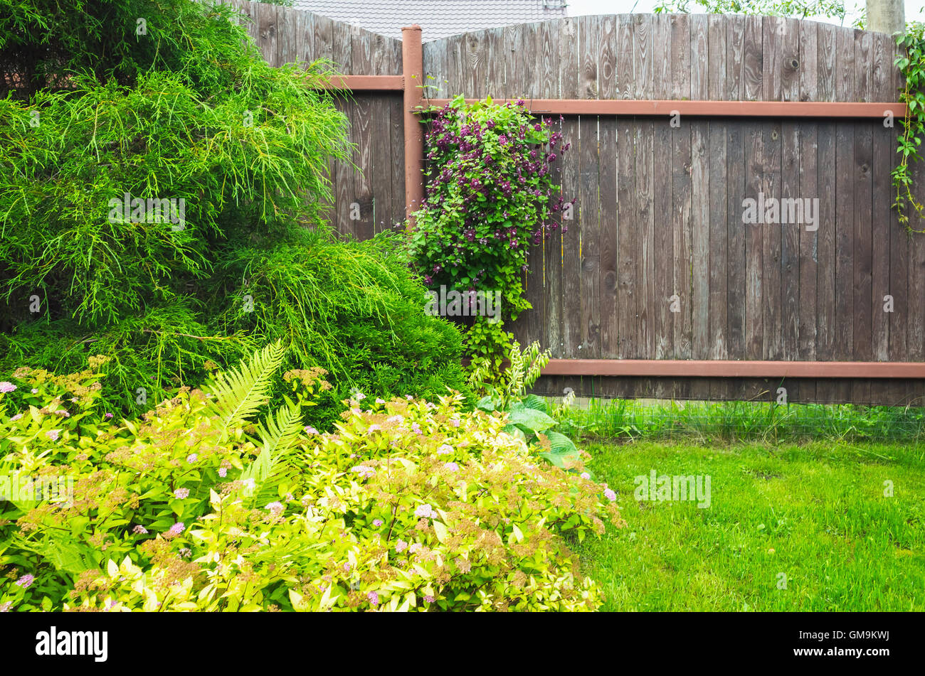 Holzzaun in der Nähe von frischen grünen Rasen und Zierpflanzen im Sommergarten Stockfoto
