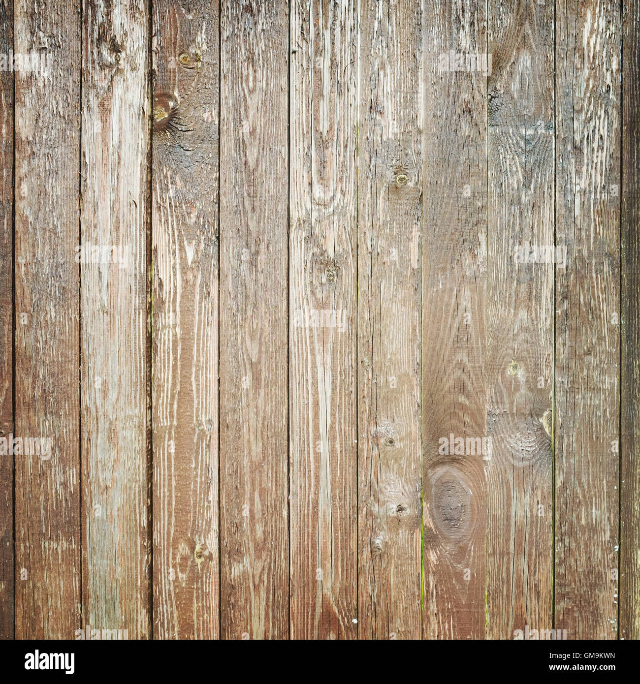Alten verwitterten Holzwand, quadratische Hintergrundtextur Foto Stockfoto