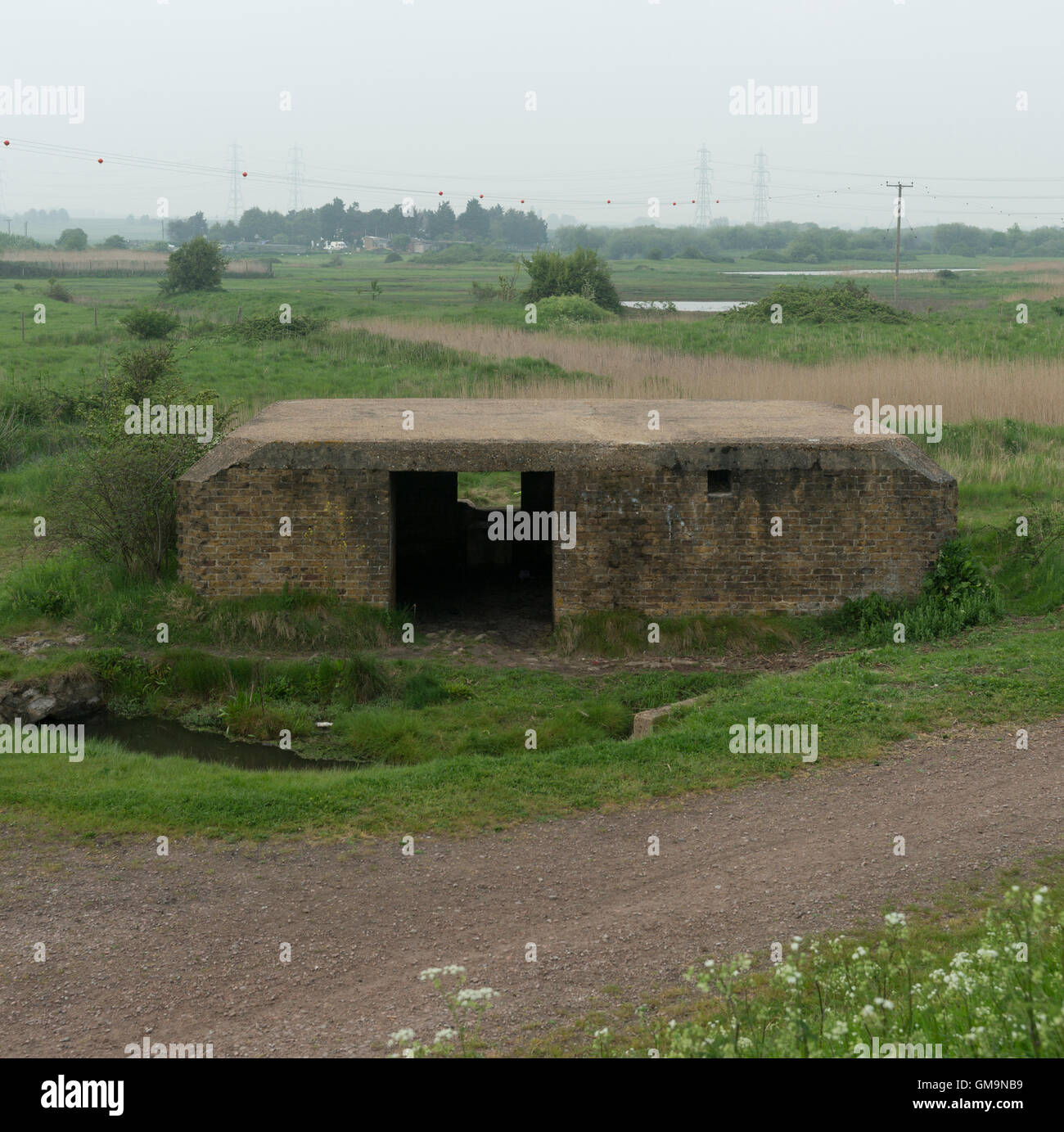 Letzten paar reiben GHQ, britische Bunker bewachen, ehemaligen GHQ Linie über gewachsene Laub aus einer vergangenen Epoche, der Angst, links Stockfoto
