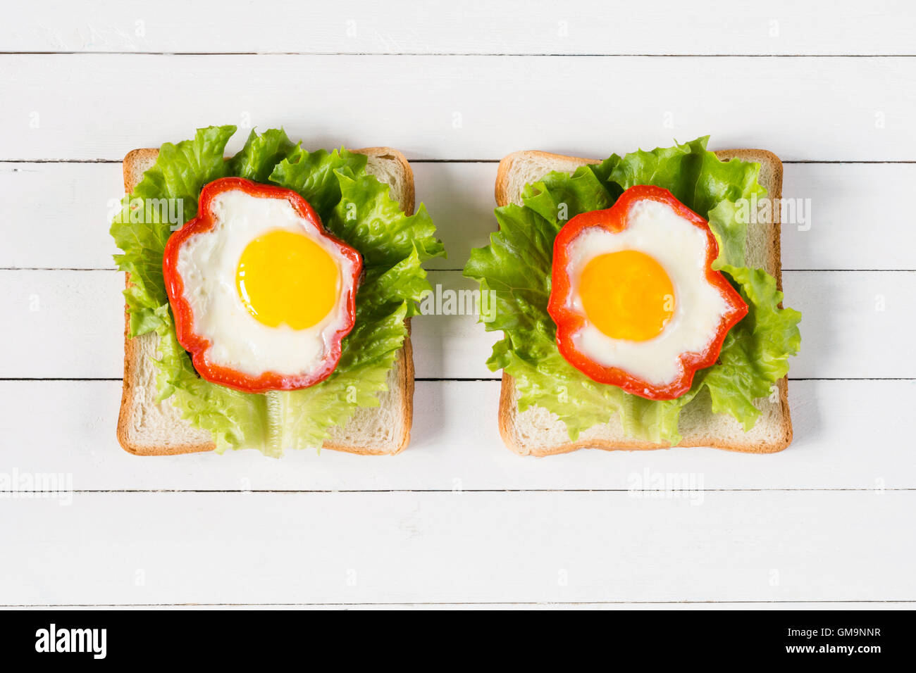 Frühstücks-Sandwich mit Ei, Käse und grünem Salat. Draufsicht auf gesunde Ernährung. Kreative Küche Ideen Stockfoto